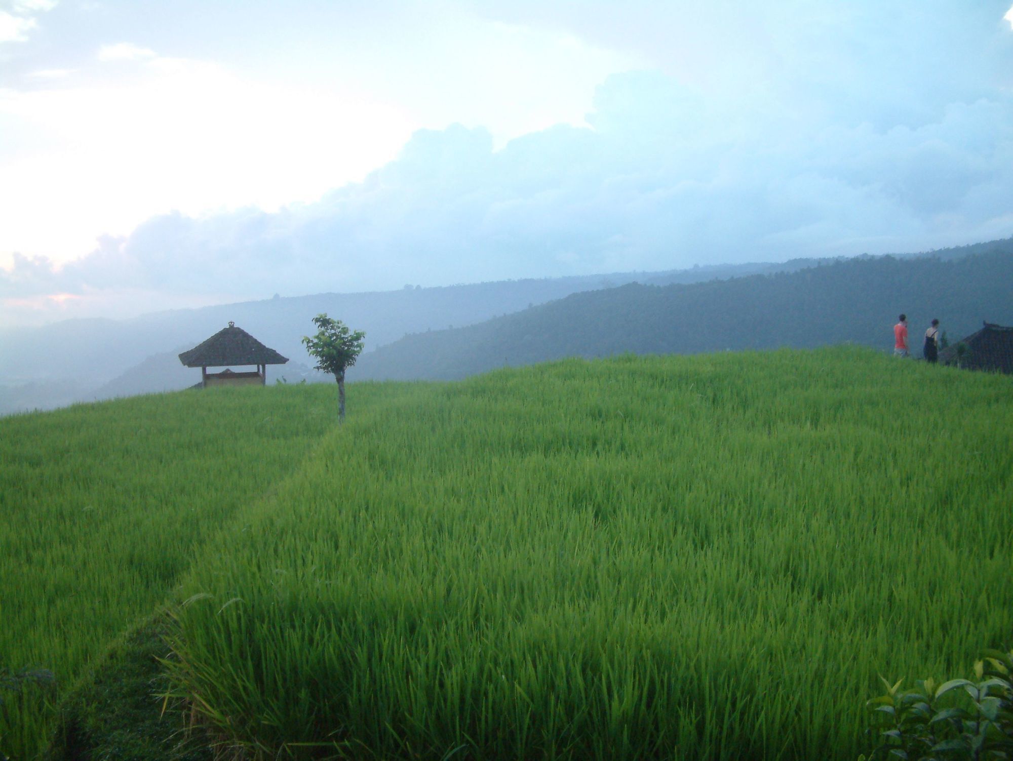 Puri Lumbung Cottages Gobleg  Εξωτερικό φωτογραφία