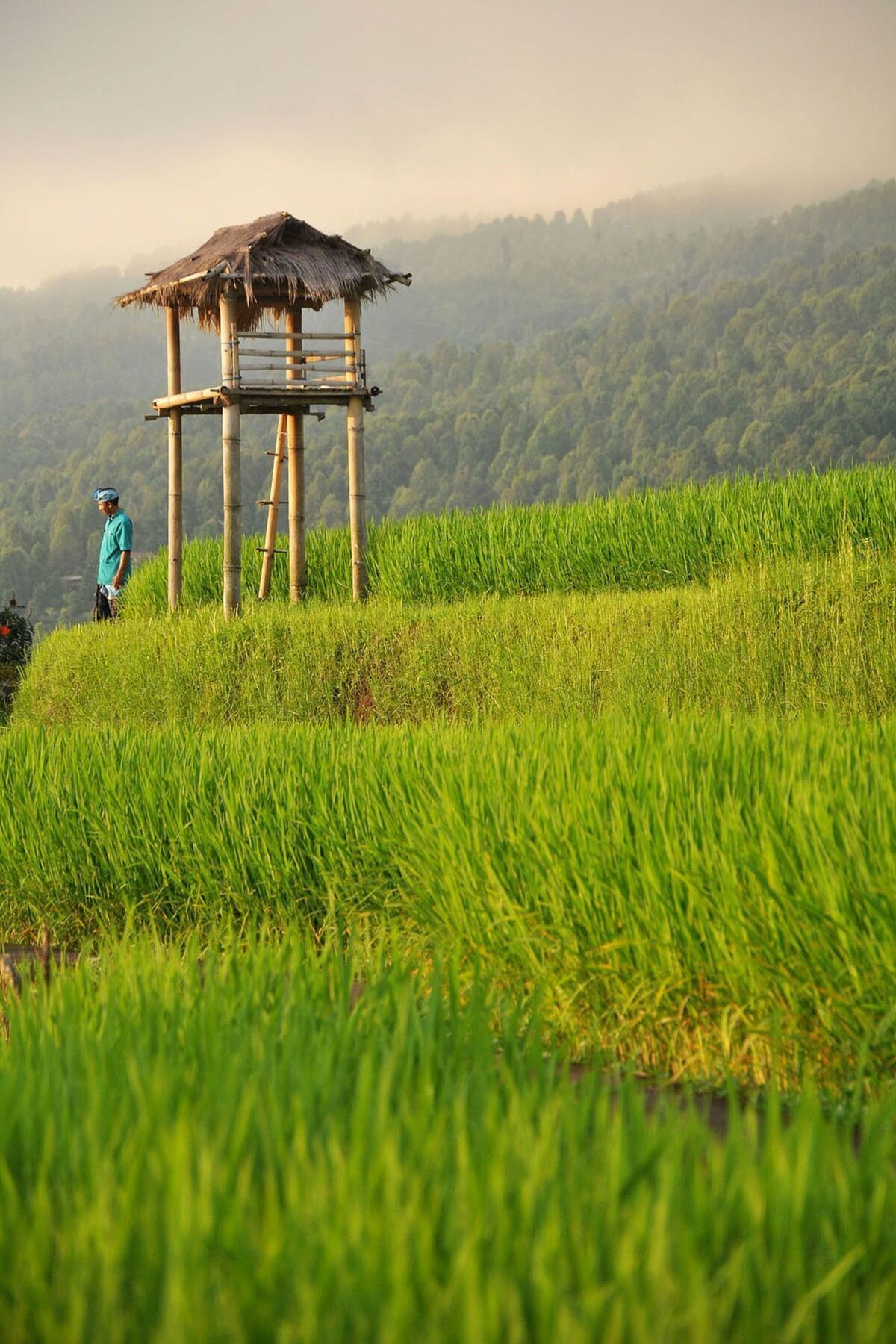 Puri Lumbung Cottages Gobleg  Εξωτερικό φωτογραφία
