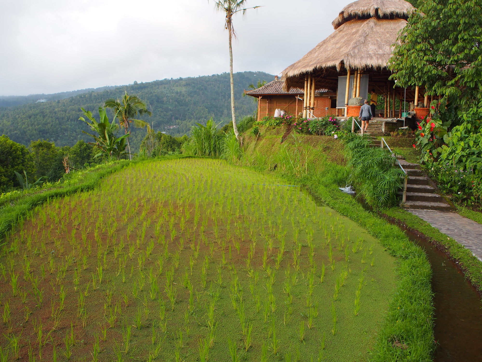 Puri Lumbung Cottages Gobleg  Εξωτερικό φωτογραφία