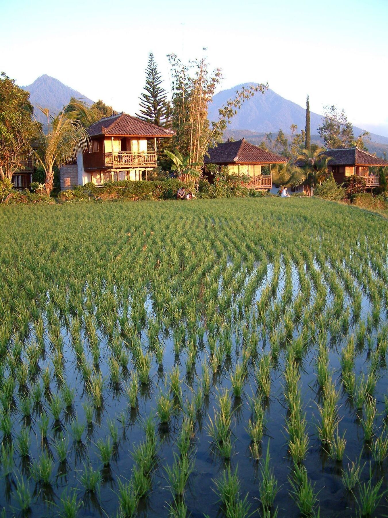Puri Lumbung Cottages Gobleg  Εξωτερικό φωτογραφία
